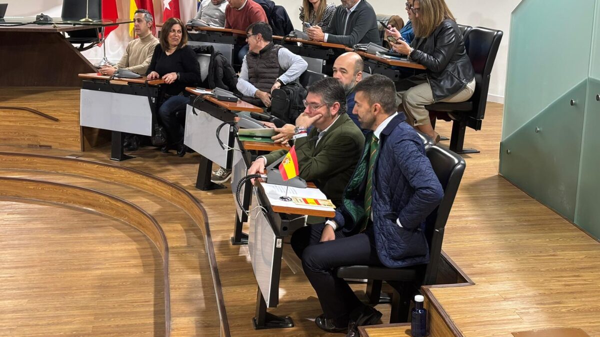 VOX Parla presenta una moción urgente para condenar la corrupción política y exigir responsabilidades por el caso Púnica en el municipio
