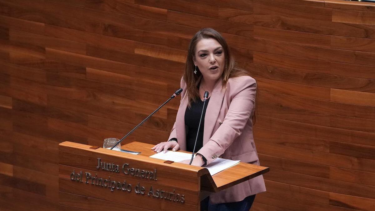 VOX ve “absurdo” que los miembros de la Comisión Regional de minería investiguen el suceso de Cerredo: “Se van a investigar a ellos mismos”
