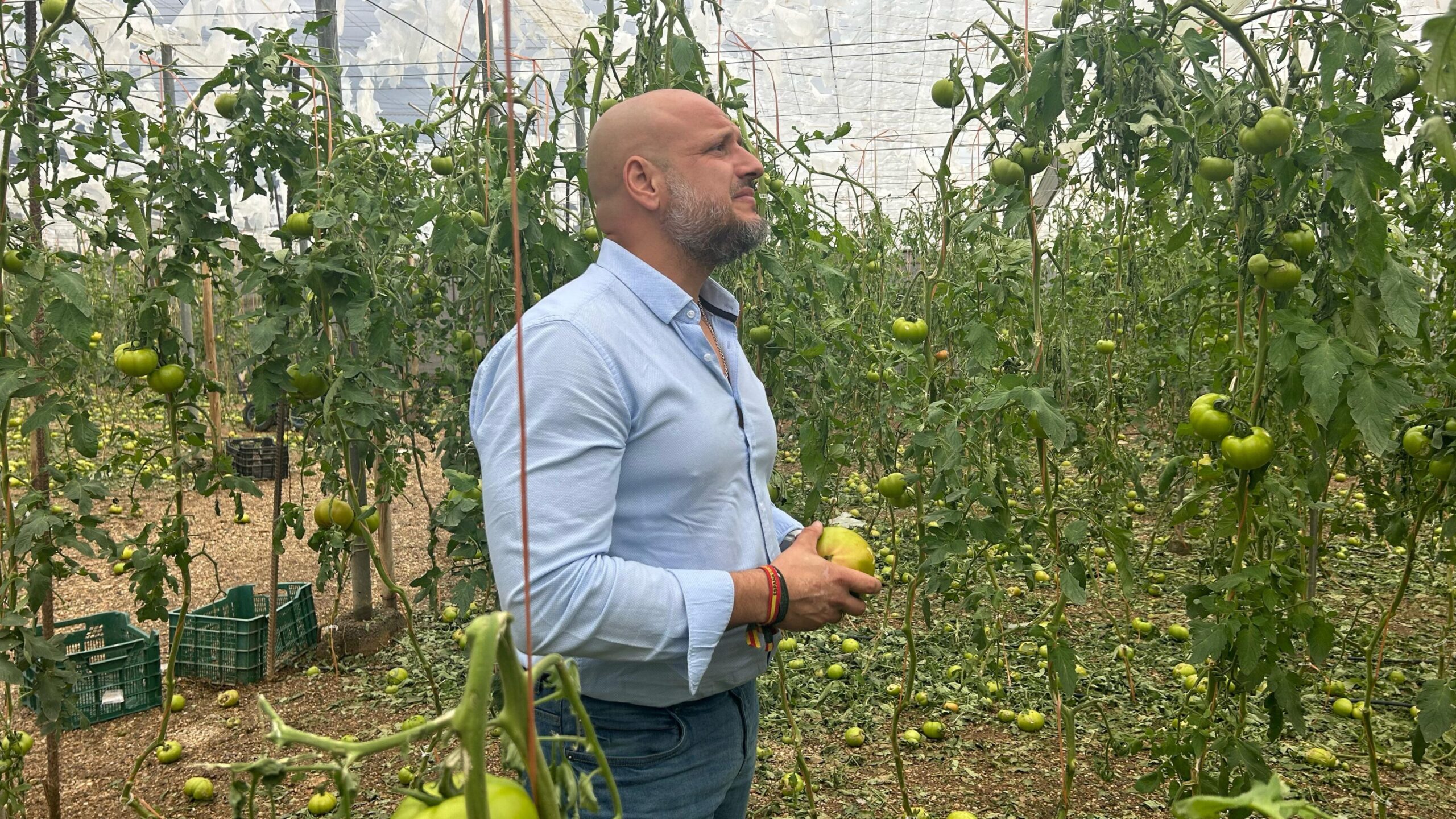 VOX tilda de “auténtica vergüenza” que Moreno Bonilla deje “sin ayudas” al campo almeriense tras los últimos temporales y le exige “dejar de engañar” a los agricultores