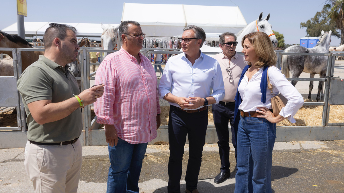 Gavira advierte del importante descenso del ganado ovino, bovino y caprino en Andalucía y reclama a Junta y Gobierno medidas para “fortalecer” el sector ganadero