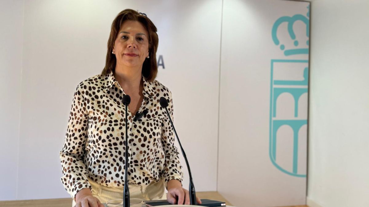 VOX pregunta si se va a subir la altura del pretil del Mirador del Postigo, así como de otras barandillas con peligro en Segovia
