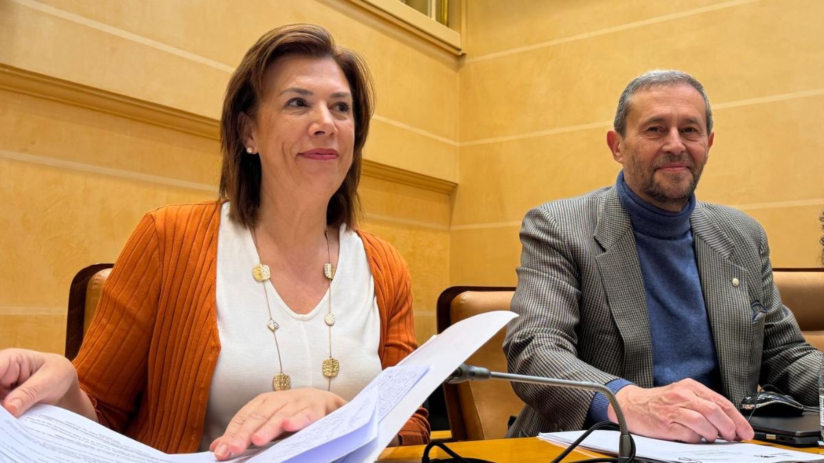 Núñez ha defendido el voto en contra "no son los presupuestos que Segovia necesita"