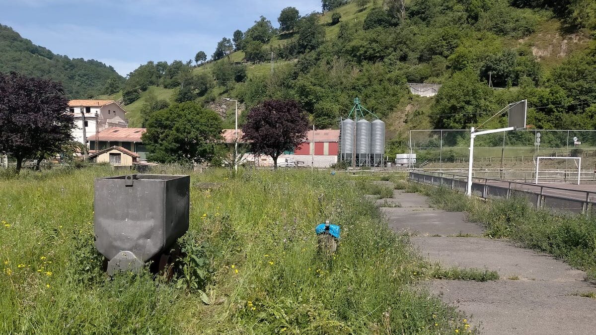 VOX Aller denuncia el abandono de las zonas públicas del concejo por la falta de desbroce 