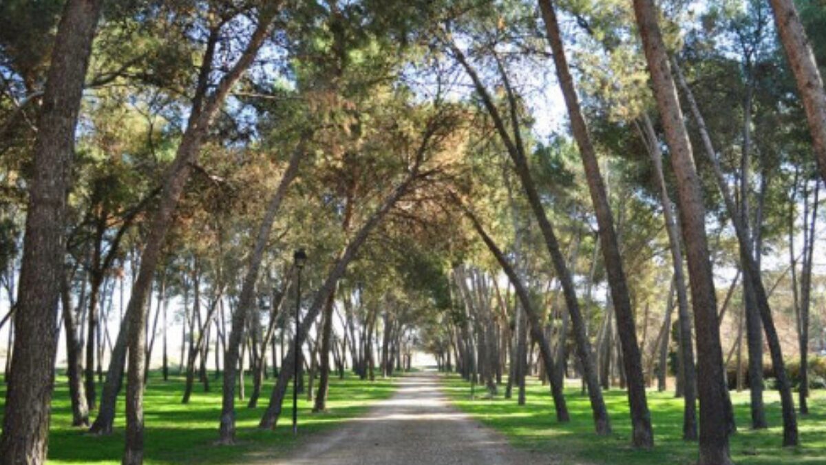 El PP bloquea una propuesta de VOX para impulsar el turismo rural en Griñón