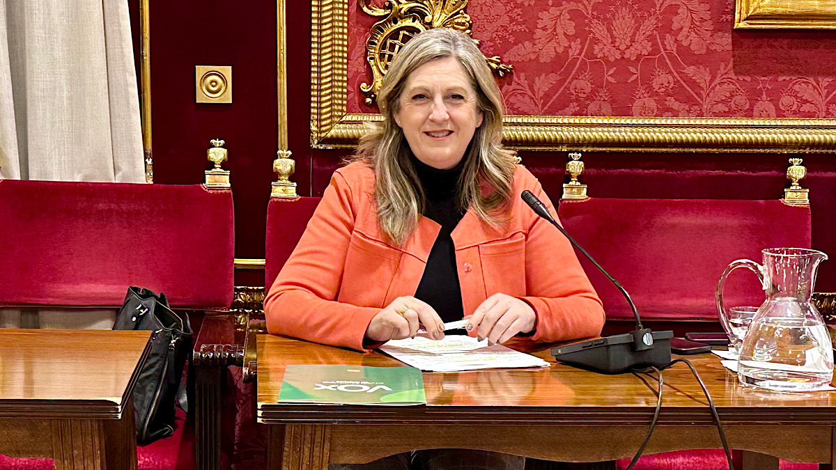 VOX exige contundencia al PP para eliminar la venta ambulante ilegal de las calles de Granada