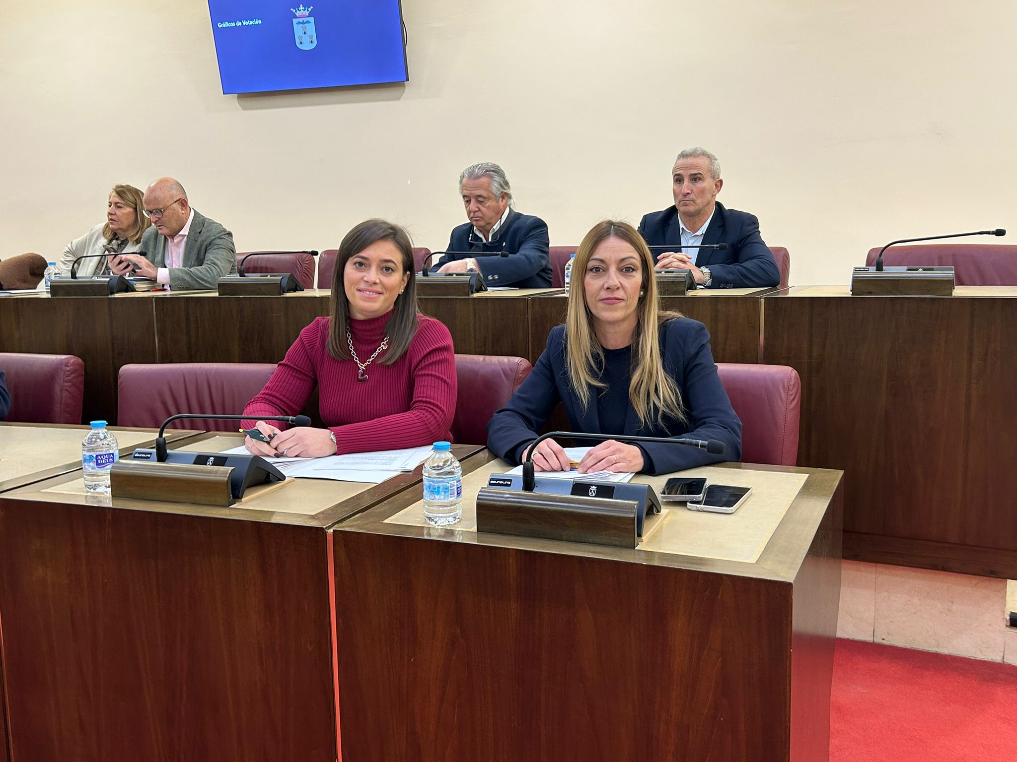 VOX lamenta que PP, PSOE y UP rechazan una rebaja del impuesto de circulación, “pero sí recortarán con la ZBE las calles por donde se podrá transitar”