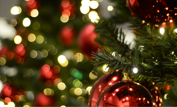 La verdadera fábrica de Santa Claus es la cooperación voluntaria