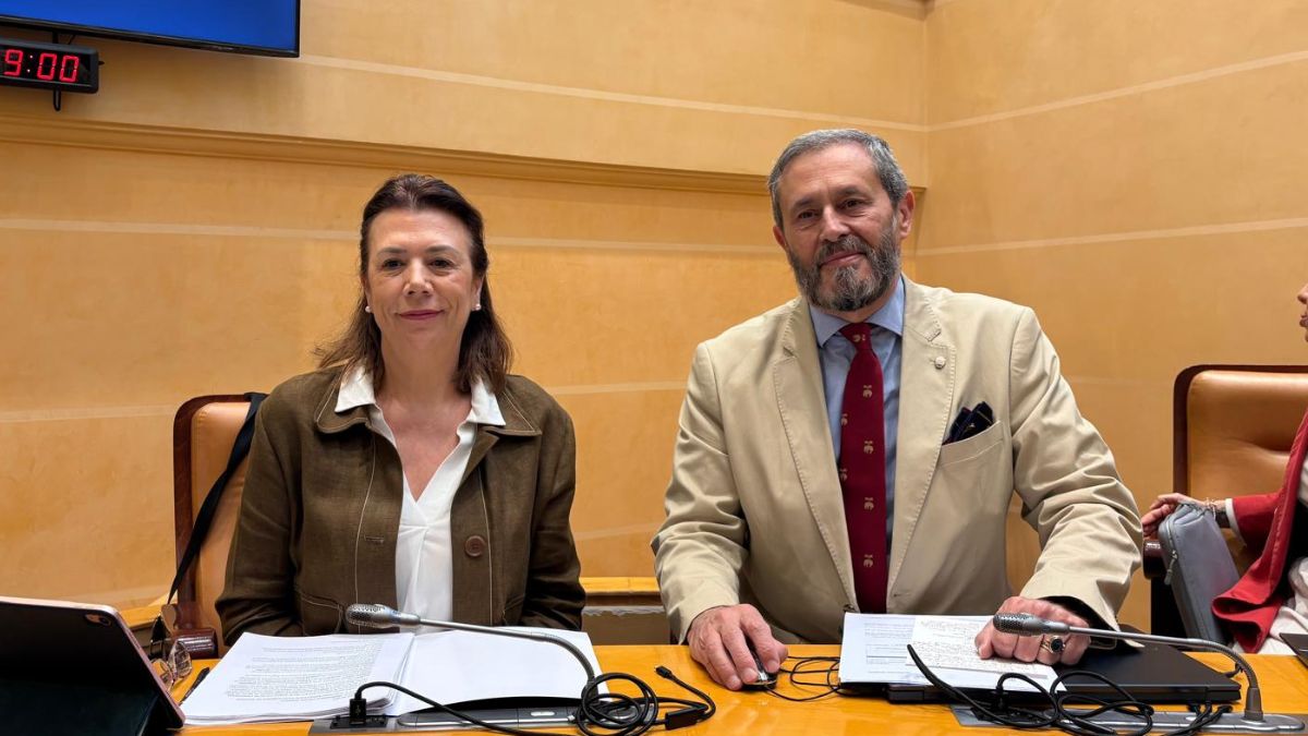 VOX exige la reapertura al tráfico de Blanca de Silos y que el alcalde reconozca el «error» de su peatonalización