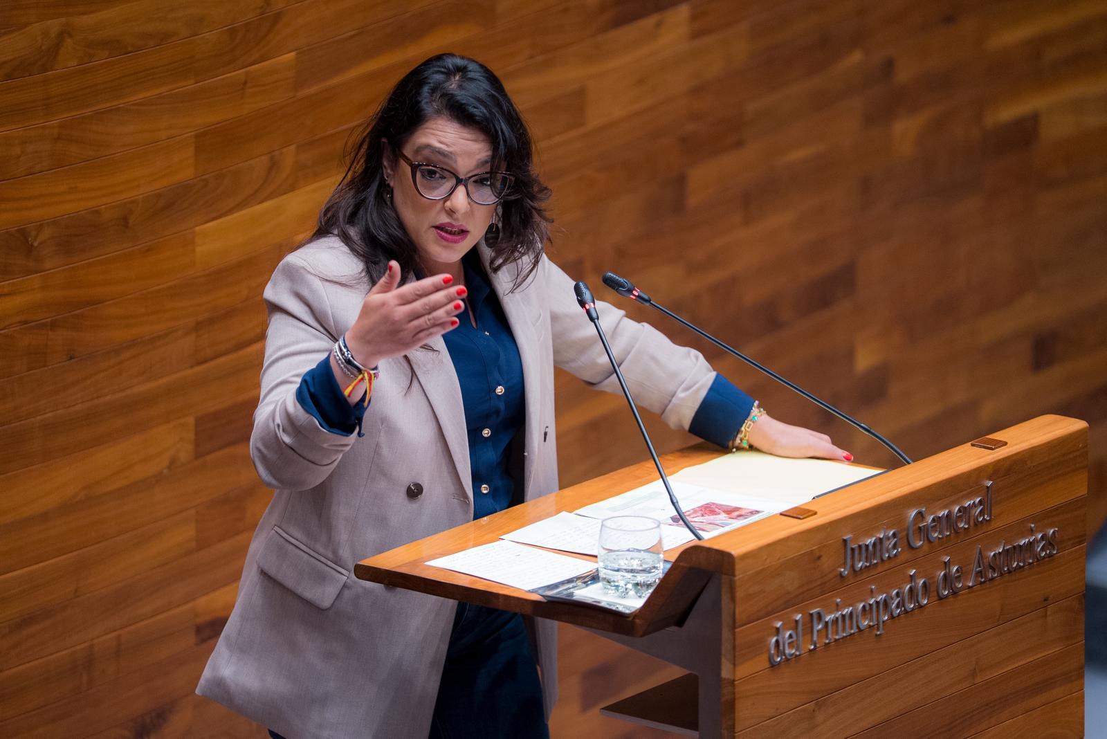 VOX pide paralizar el acuerdo con Mercosur y someterlo a referéndum por “poner en riesgo al campo español”