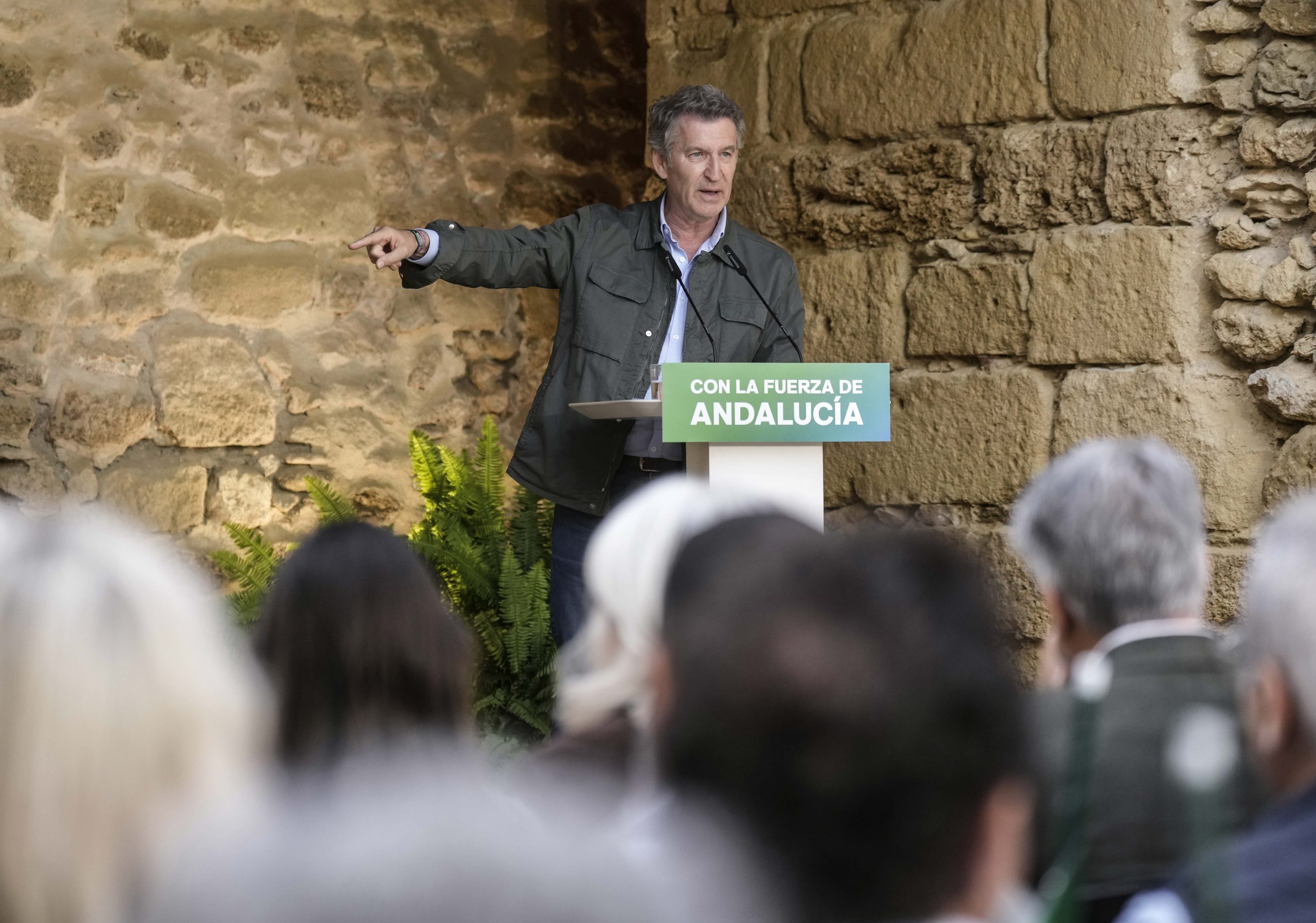 Feijóo reclama “todos los documentos sanitarios” que avalen las decisiones del hantavirus y los expertos contactados: “Un Gobierno leal no impone, dialoga”