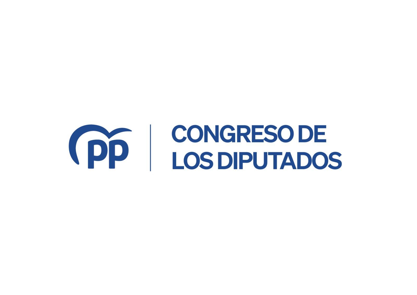 El PP lanza una ofensiva en el Congreso y el Senado que acorrala a Sánchez por su dejación de funciones en la crisis migratoria 