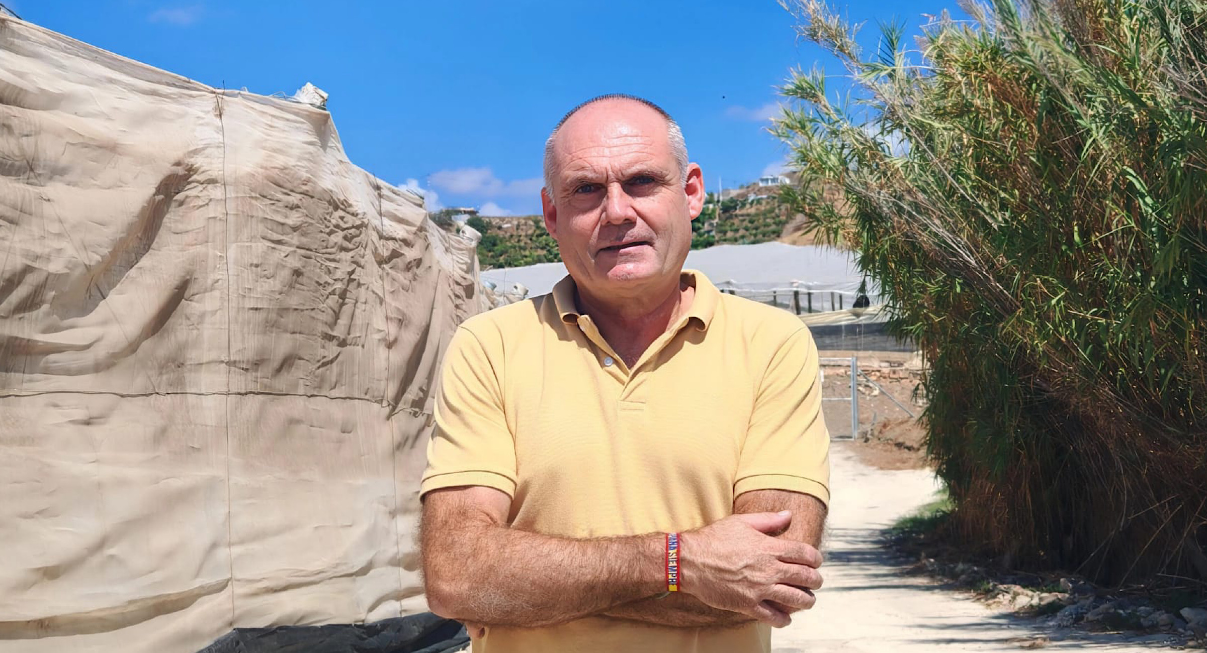 VOX reclama en Torrox explicaciones y un protocolo claro ante los avisos vecinales por la presencia del avispón oriental