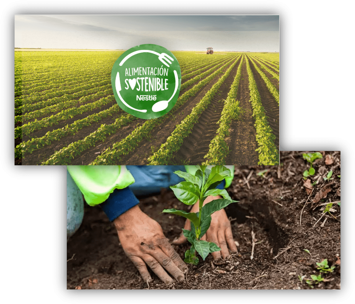 Impulso a la agricultura regenerativa|CEOE
