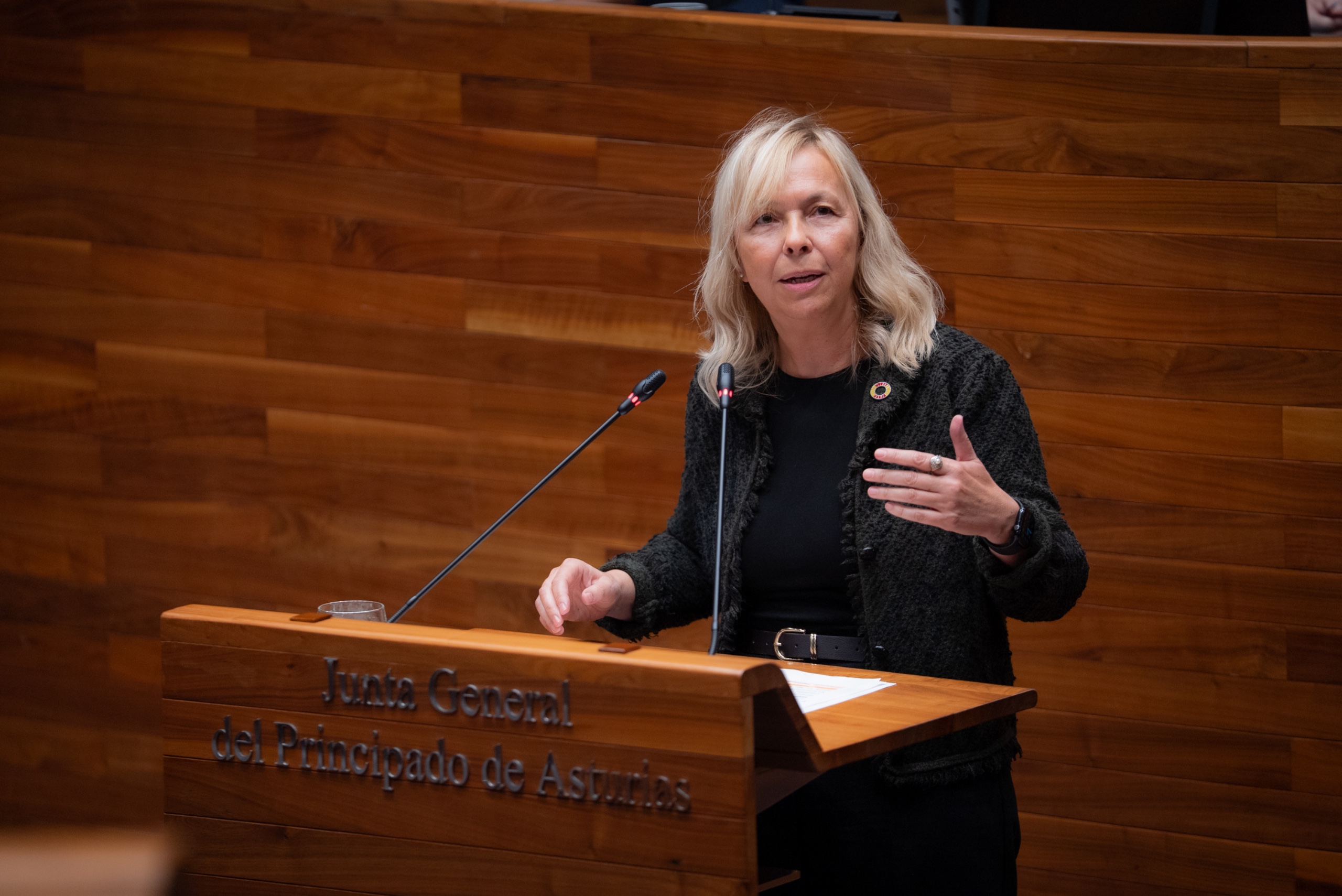 Sara A. Rouco sobre la Ley de Infancia de Asturias: “Es un caballo de Troya para intervenir en las familias”