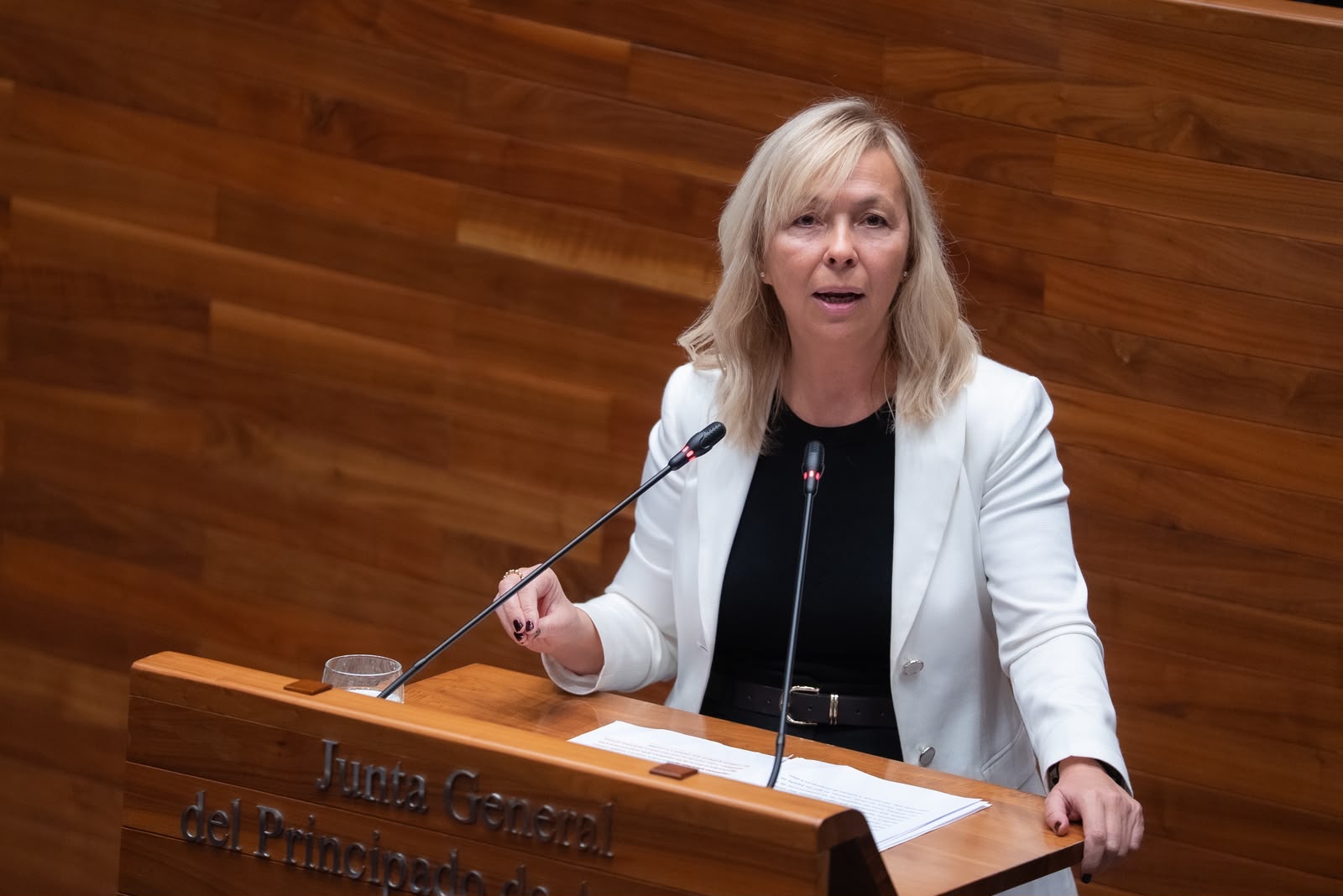 VOX exige prioridad nacional en los servicios públicos ante el colapso sanitario en Asturias: "Los recursos son limitados y finitos"