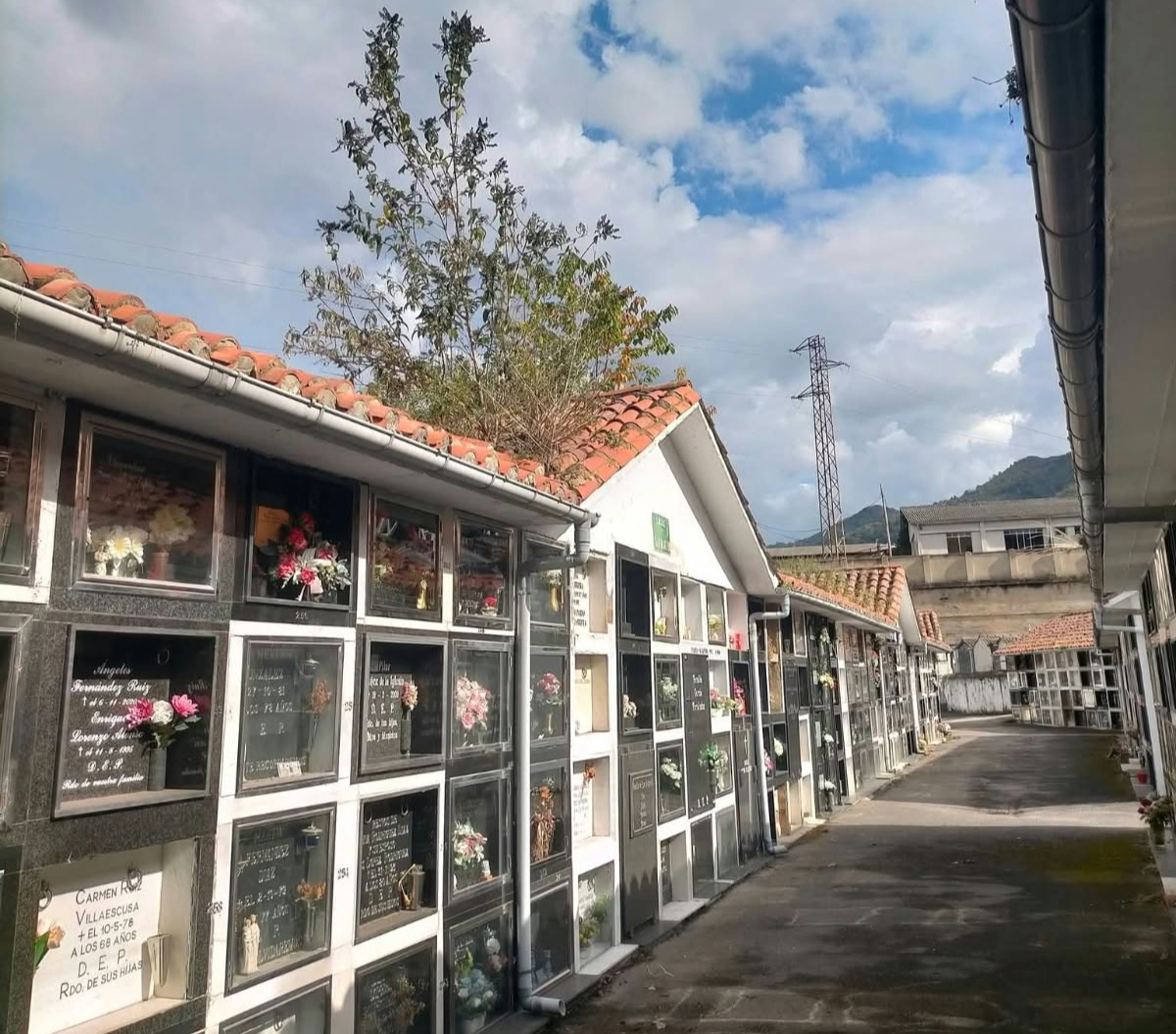 VOX Aller rechaza una nueva tasa socialista por exhumar y recoger restos en los cementerios municipales